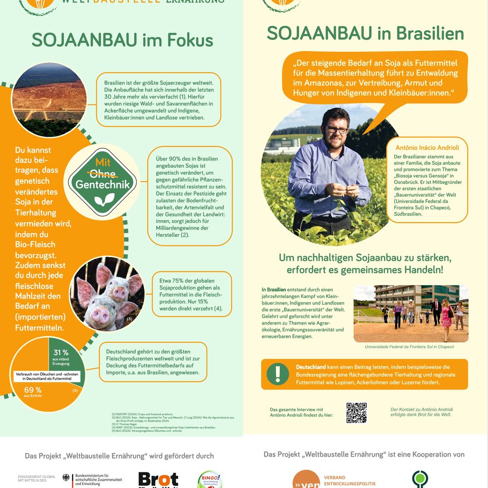Banner Sojaanbau in Brasilien in Detail