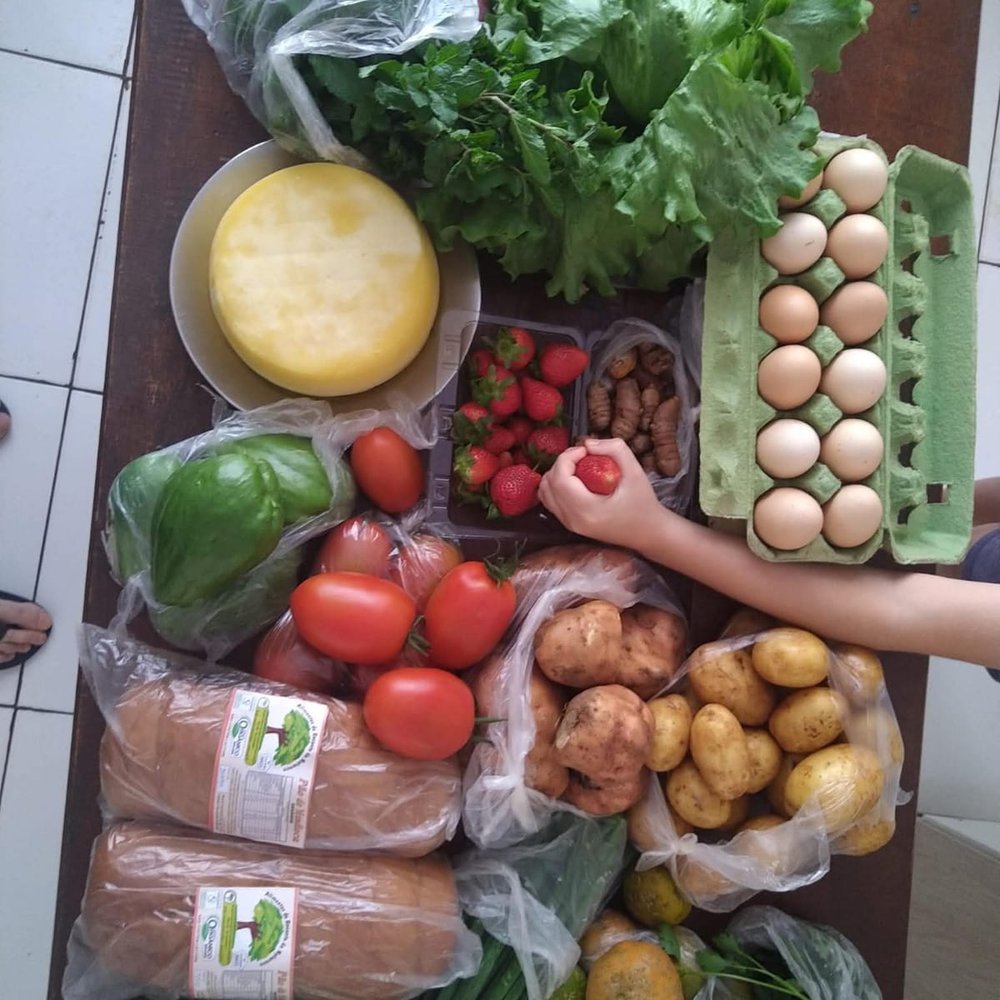 Gemüse, Obst und Eier aus dem eigenen Anbau