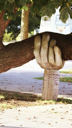 eine Hand unterstützt einen großen Baum