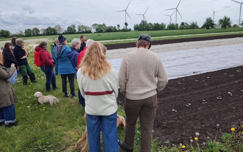 Mehrere Menschen stehen vor einem Gemüsefeld. Ein Mensch erzählt etwas