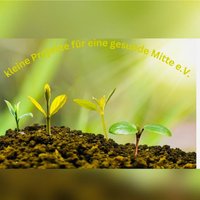 Die kleinen Pflanzen symbolisieren die Projekte, die wir organisieren, koordinieren und durchführen, um Menschen dabei zu unterstützen, ihre innere Balance und eine gesunde Mitte zu finden.