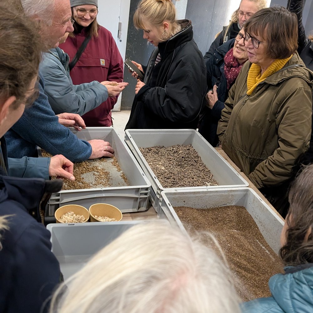 Teilnehmende sehen sich die Larven an