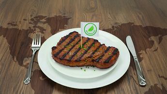 ein Steak auf einem Teller mit Fähnchen "pflanzlich"