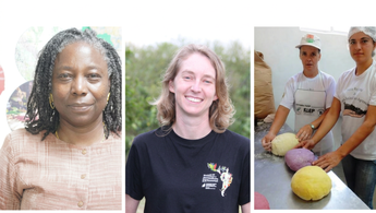 Collage mit 3 Frauen aus Brasilien und Elfenbeinküste