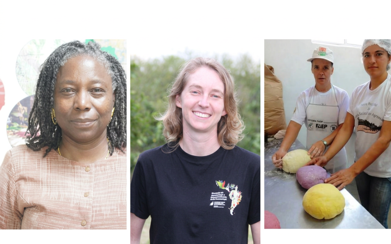 Collage mit 3 Frauen aus Brasilien und Elfenbeinküste